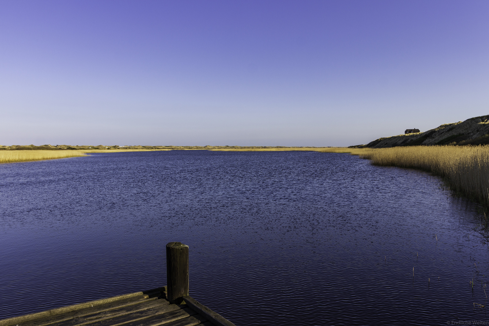 Am Anfang des Ringkøbing Fjords bei Nymindegab ...