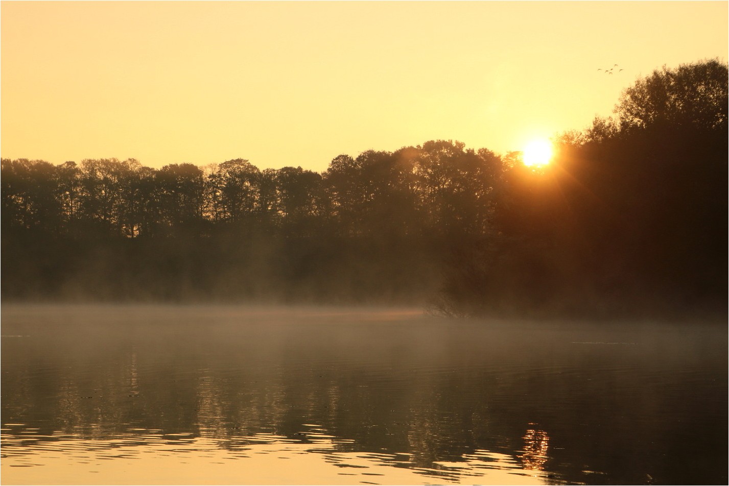 Am Anfang war das Licht