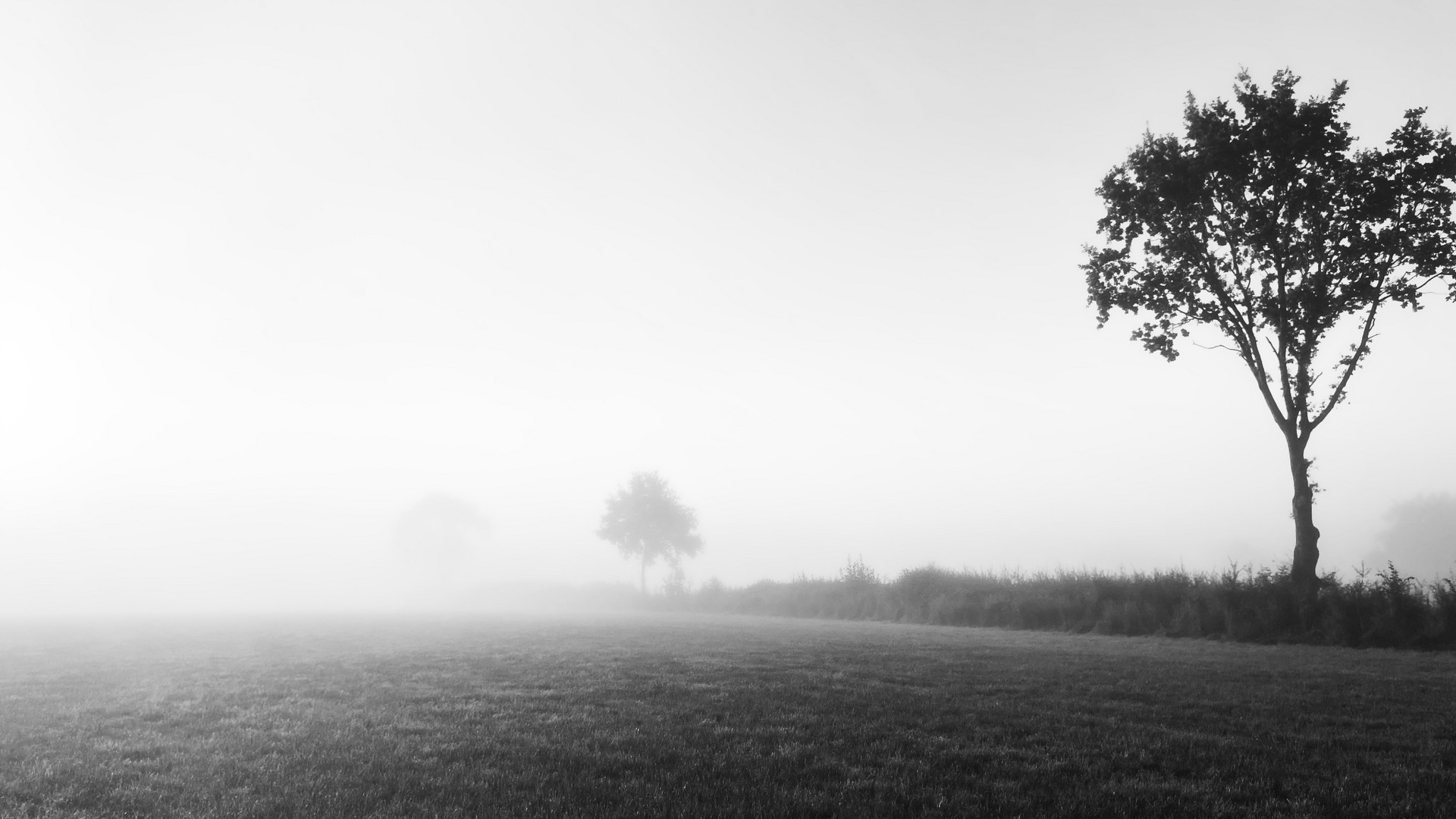 Am Anfang war es nur Nebel.