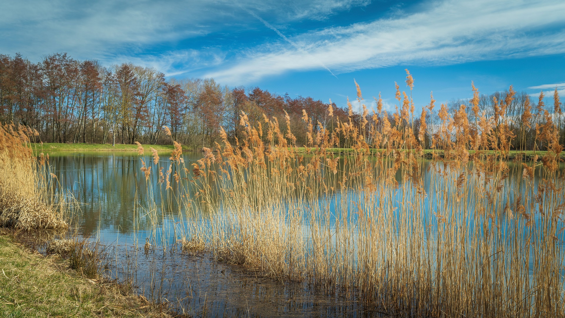 Am Angelteich