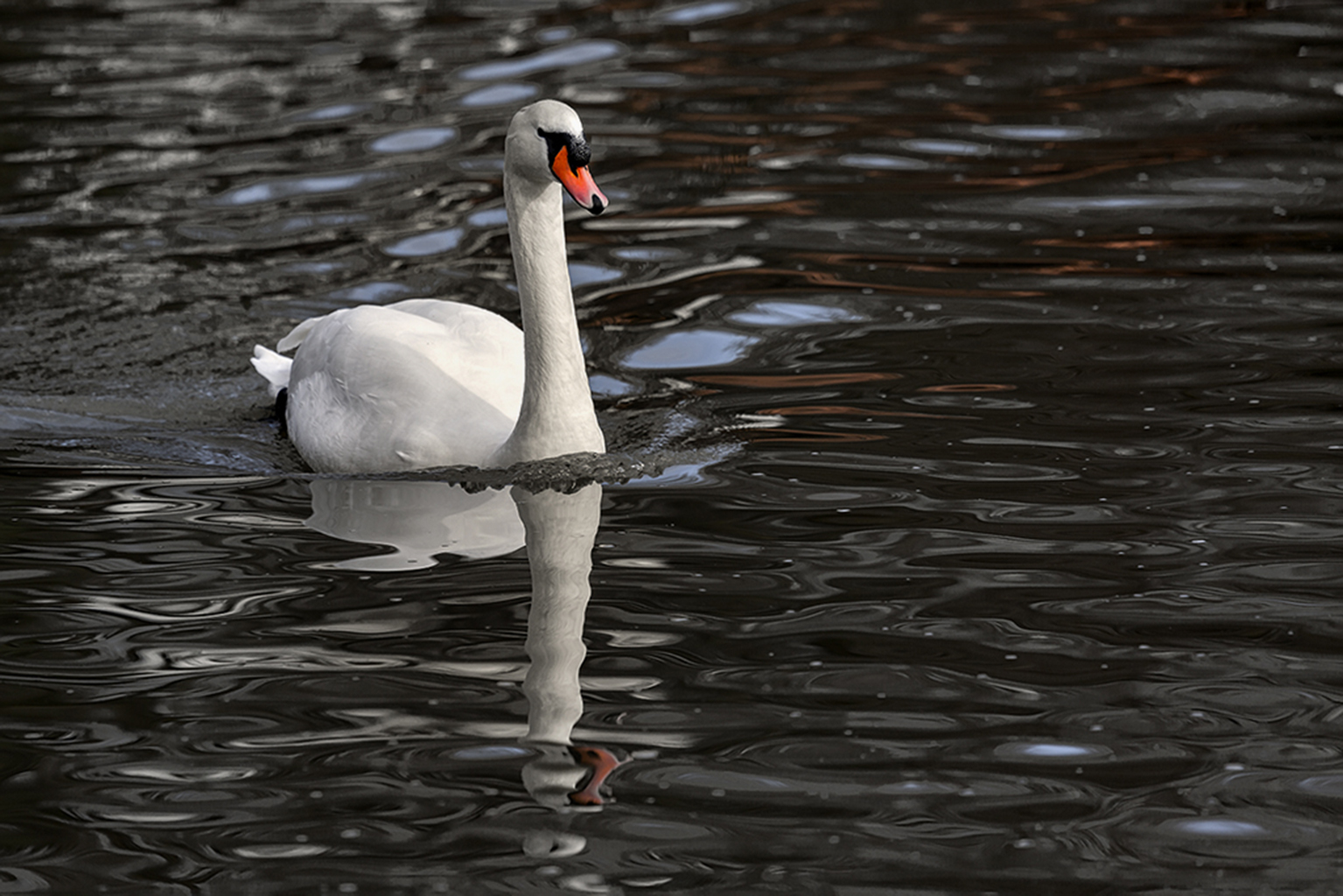 Am Anlagensee