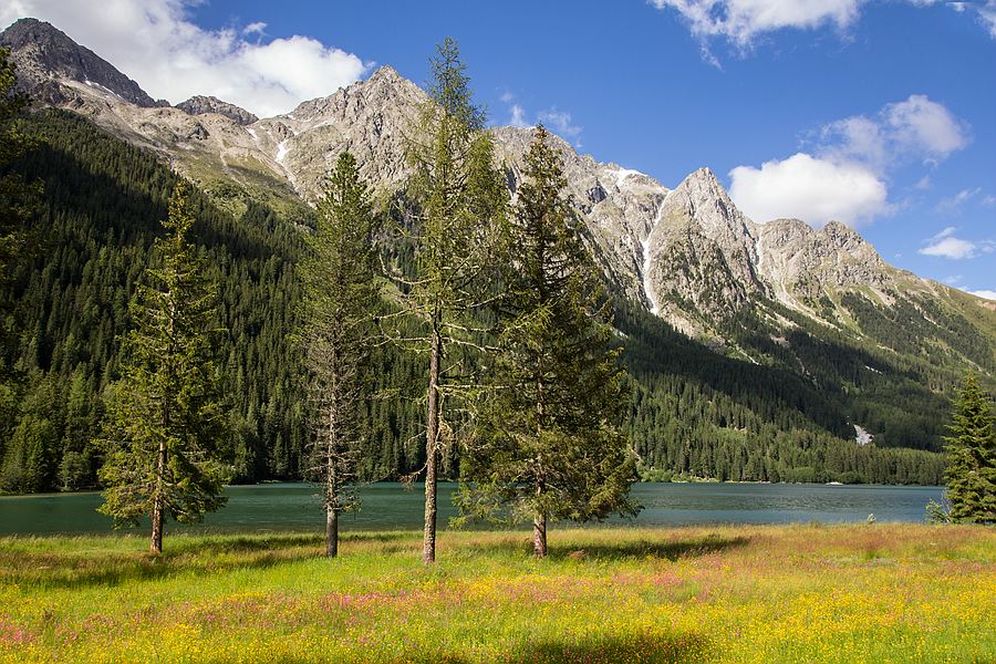 Am Antholzer See