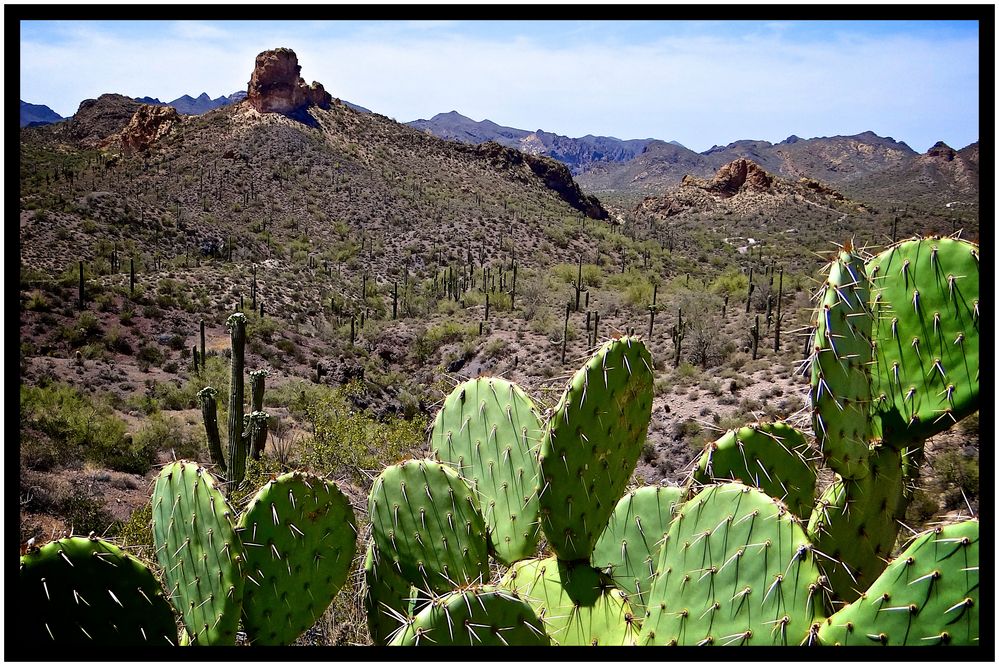 Am Apache Trail