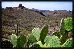 Am Apache Trail