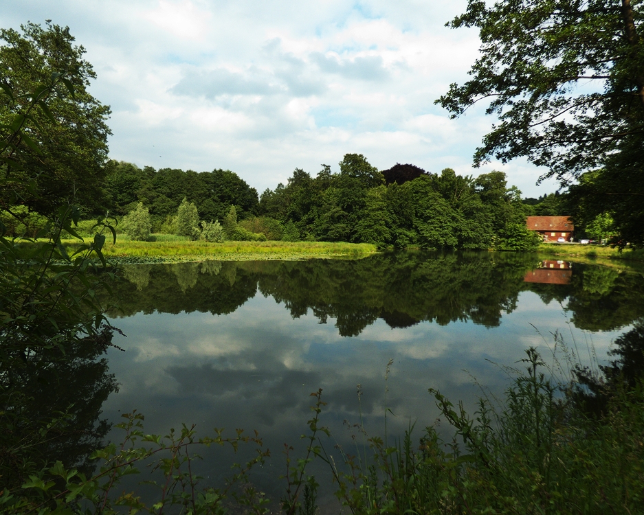 Am Aprather Mühlenteich Foto & Bild landschaft, bach, fluss & see