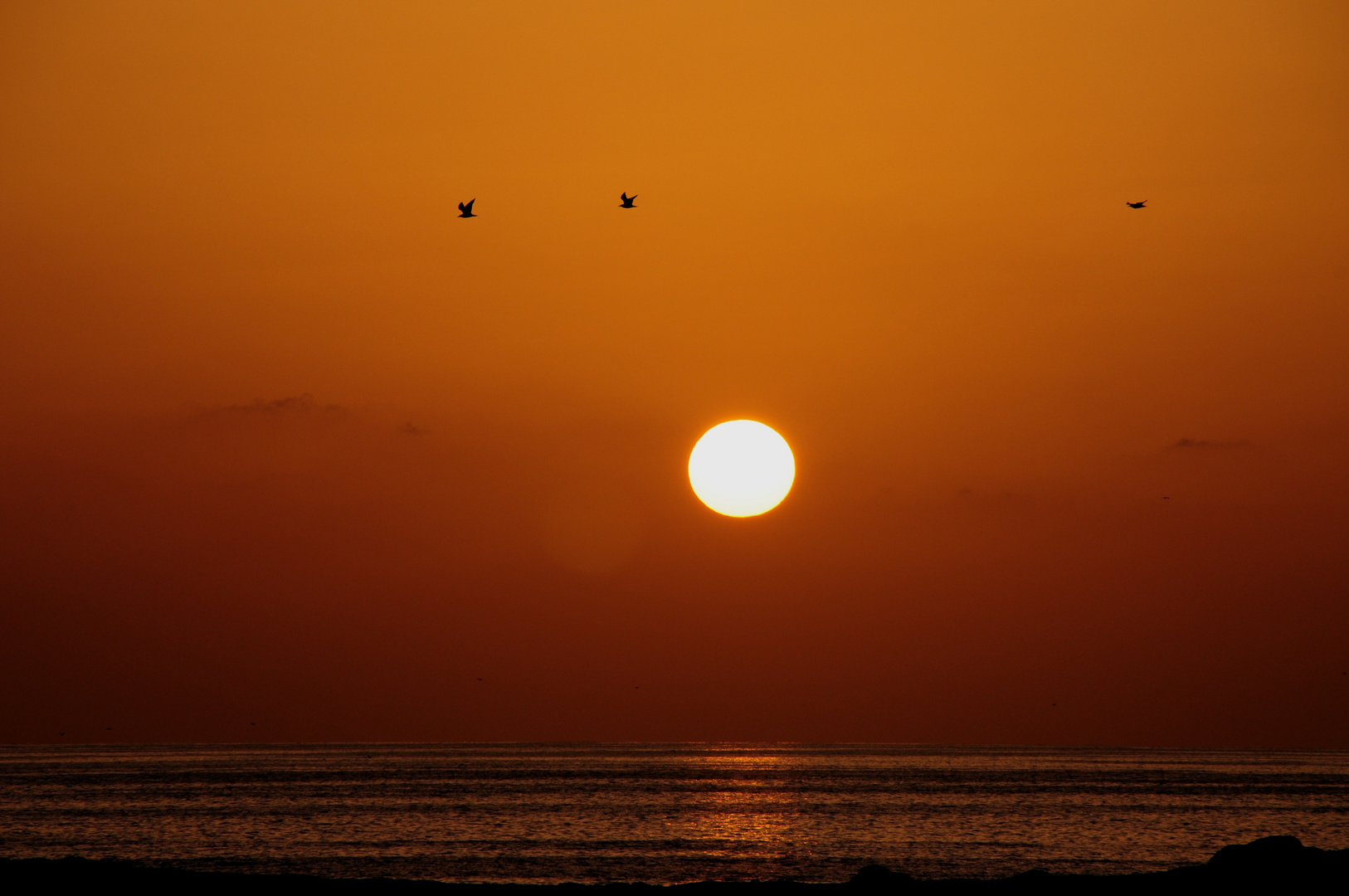 Am Arabischen Meer