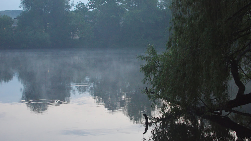 Am Aradosee in Potsdam.....