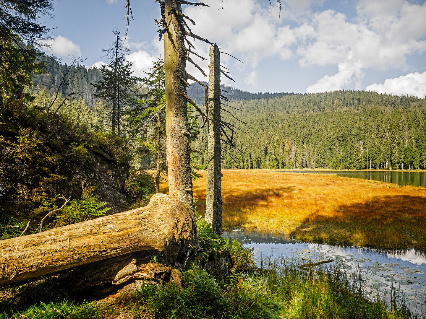 Am Arbersee