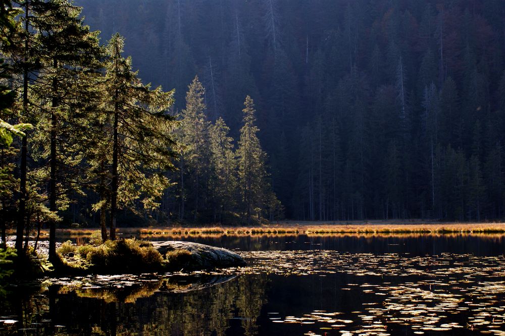 Am Arbersee