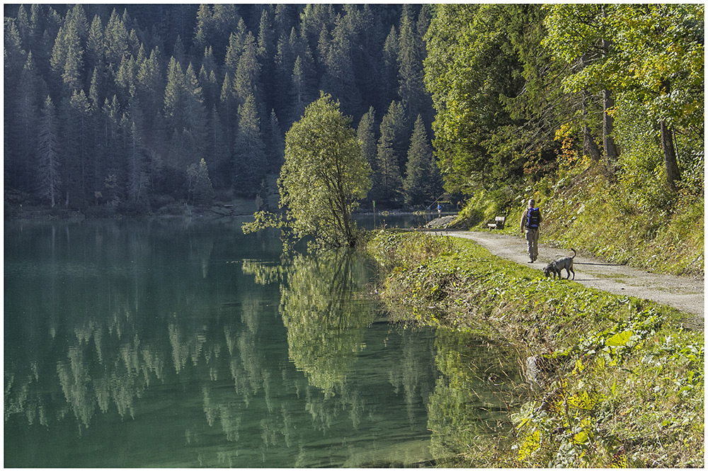 Am Arnensee