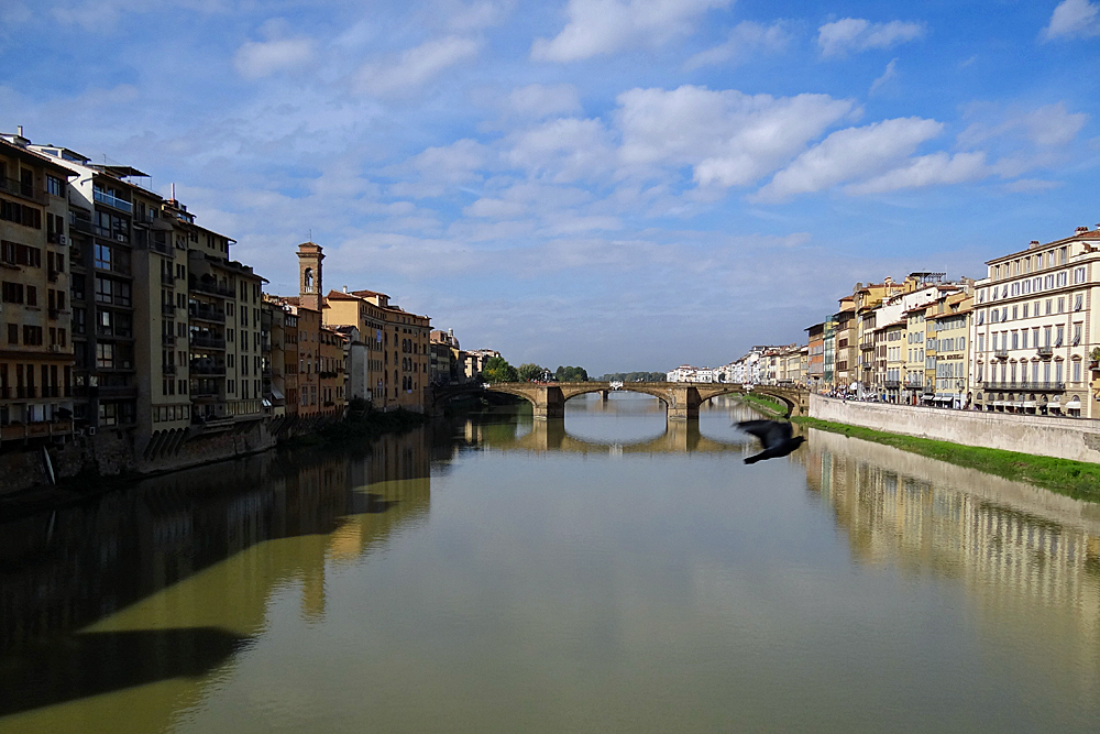 am Arno in Florenz  oder da ist ein Vogel auf dem Bild