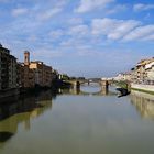 am Arno in Florenz  oder da ist ein Vogel auf dem Bild