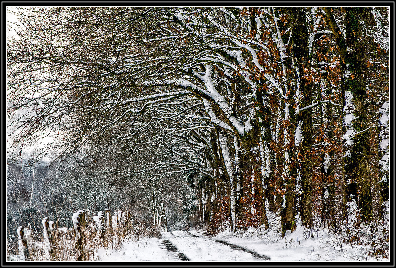 Am Arnsberger Wald.