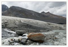 [ Am Athabasca Glacier ]