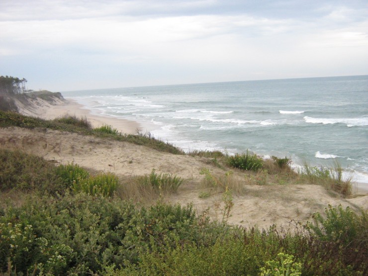 am Atlantik in Frankreich