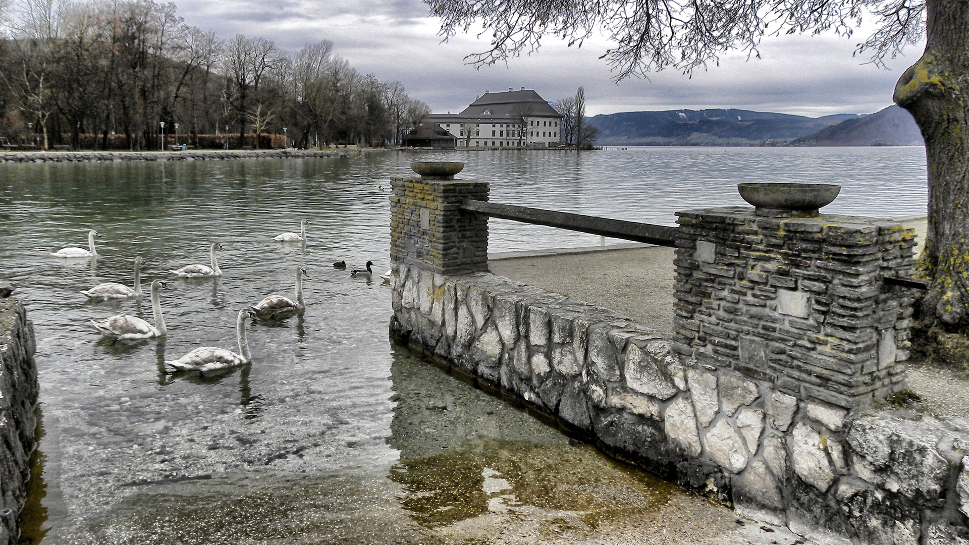 Am Attersee ...