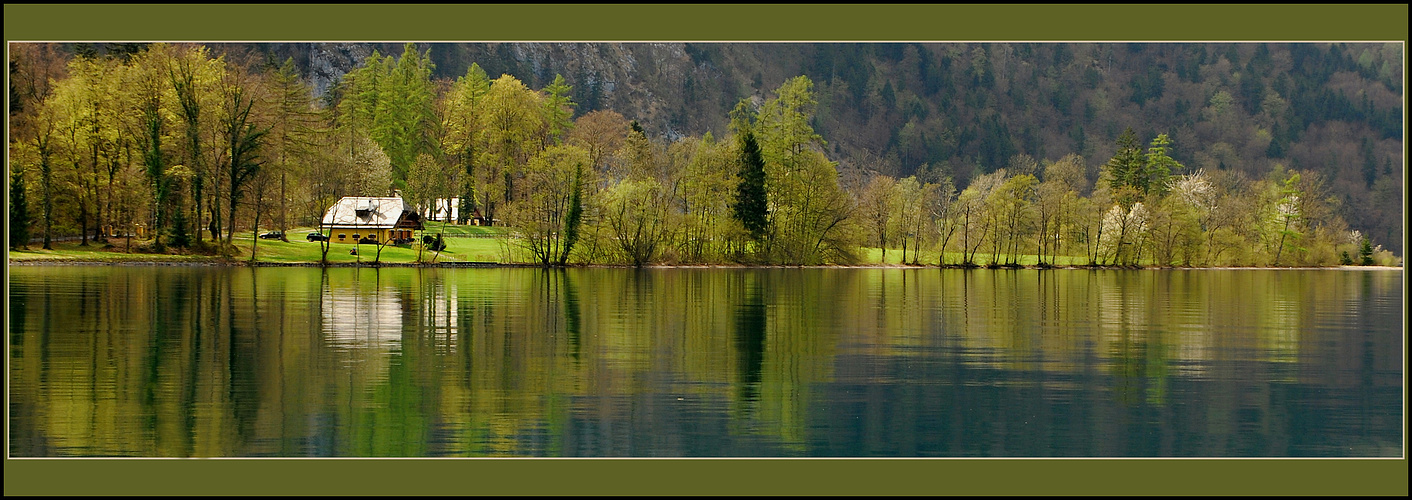 ....am Attersee !