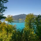 Am Attersee in Österreich