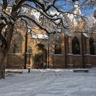 Am Augsburger Dom