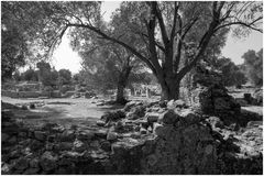 am ausgrabungsgeläde...