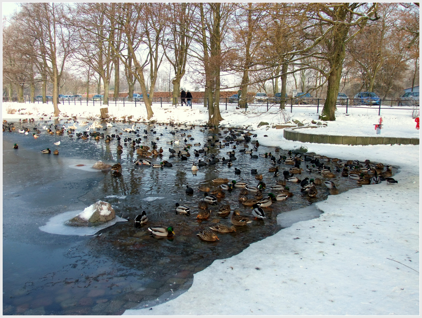 Am Außenmühlenteich im Winter 2010