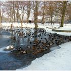 Am Außenmühlenteich im Winter 2010