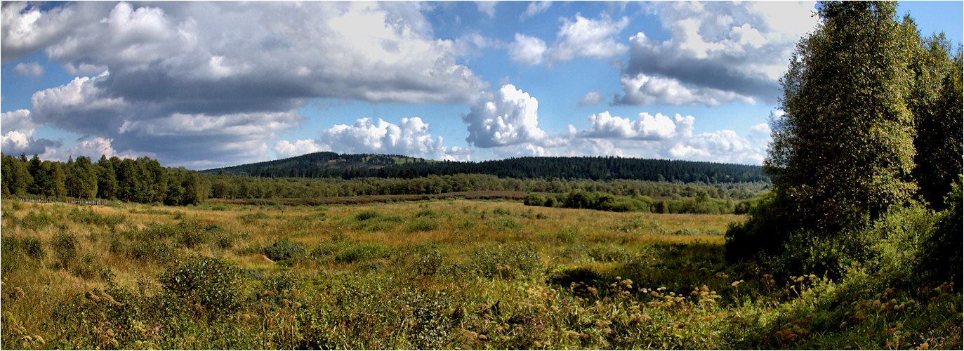 am aussichtsturm ...