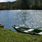 Am Auwaldsee