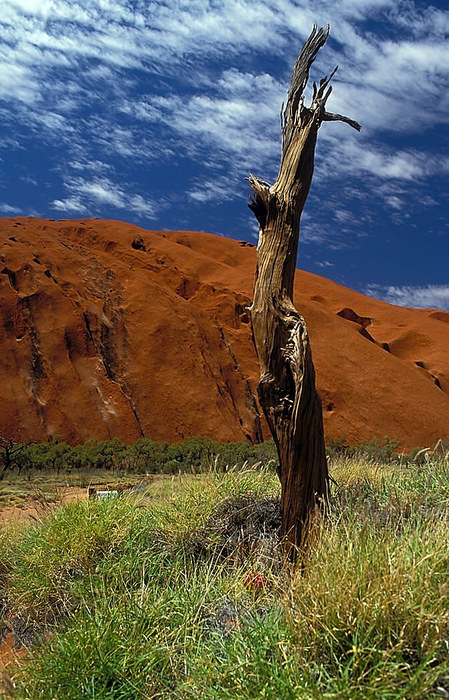 Am Ayers Rock