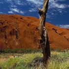 Am Ayers Rock