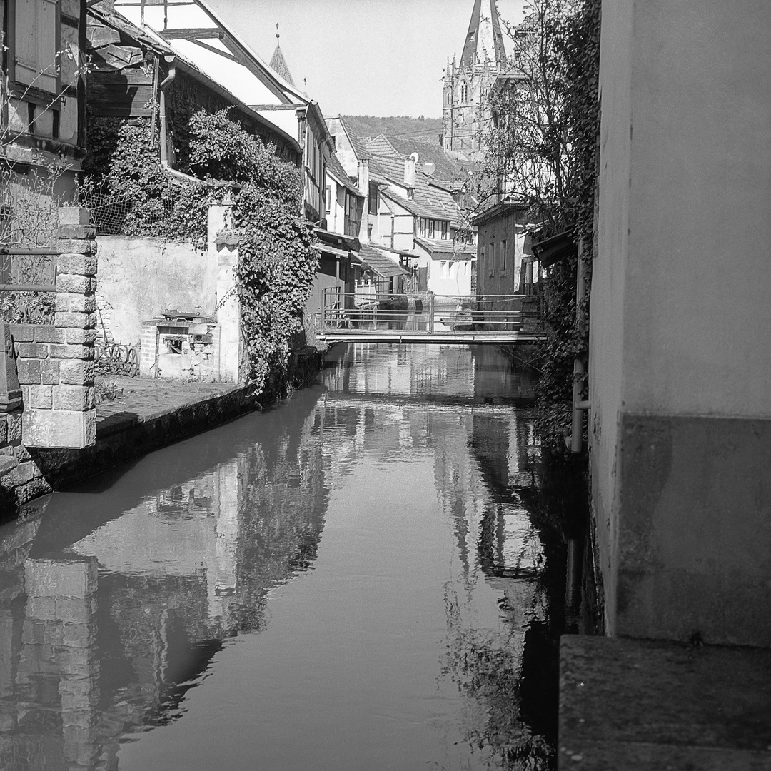 am Bach Foto & Bild france, world, spezial Bilder auf