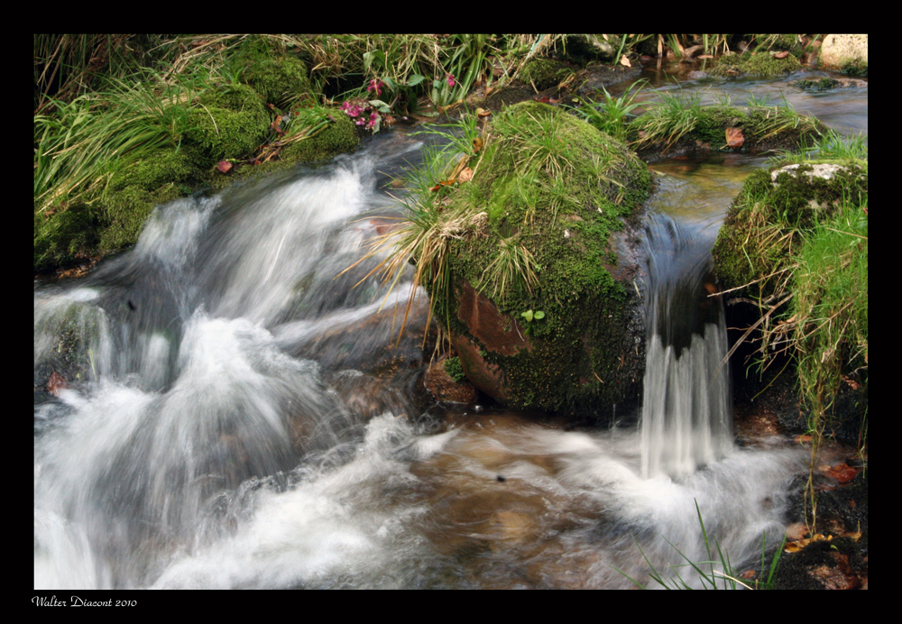 Am Bach