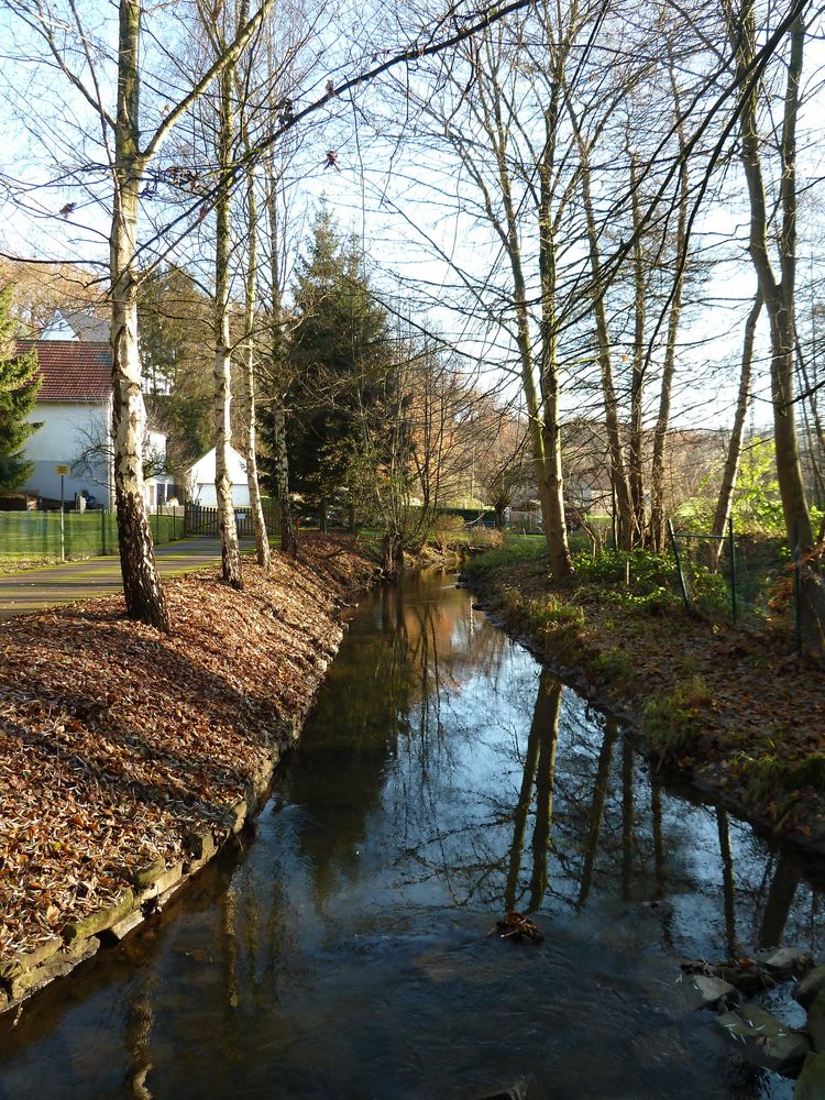 am Bach Foto & Bild | landschaft, projekte, bach, fluss & see Bilder