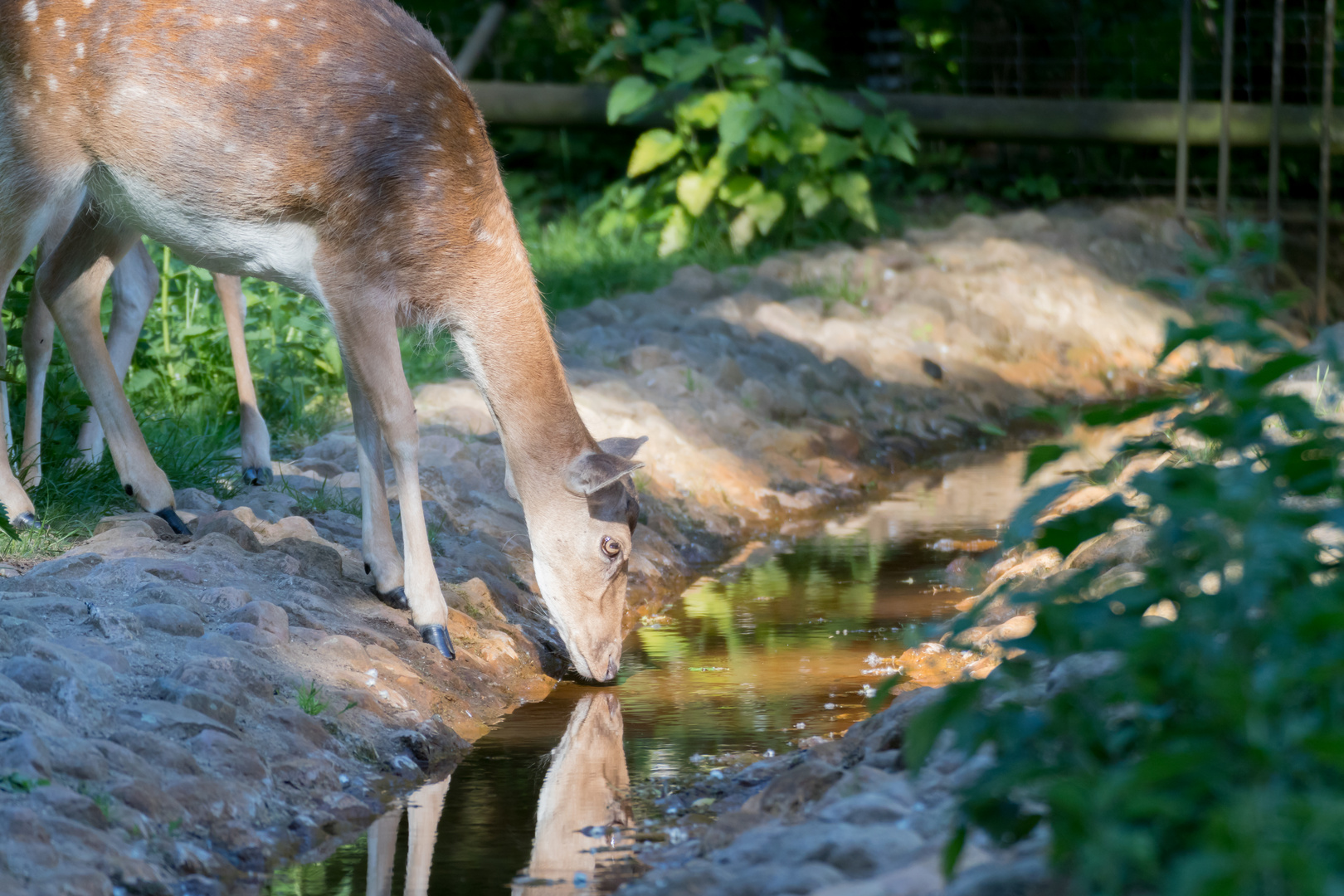 Am Bach.. | ..At the River