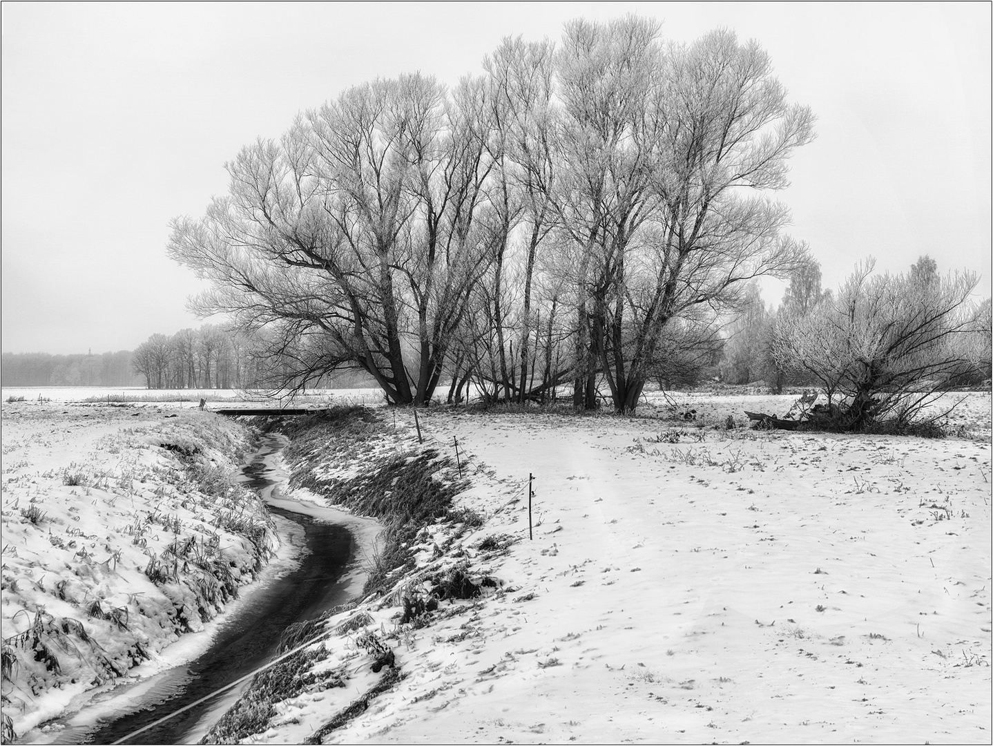 am Bach Foto & Bild wasser, bäume, winter Bilder auf