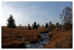 am Bach entlang im Hohen Venn