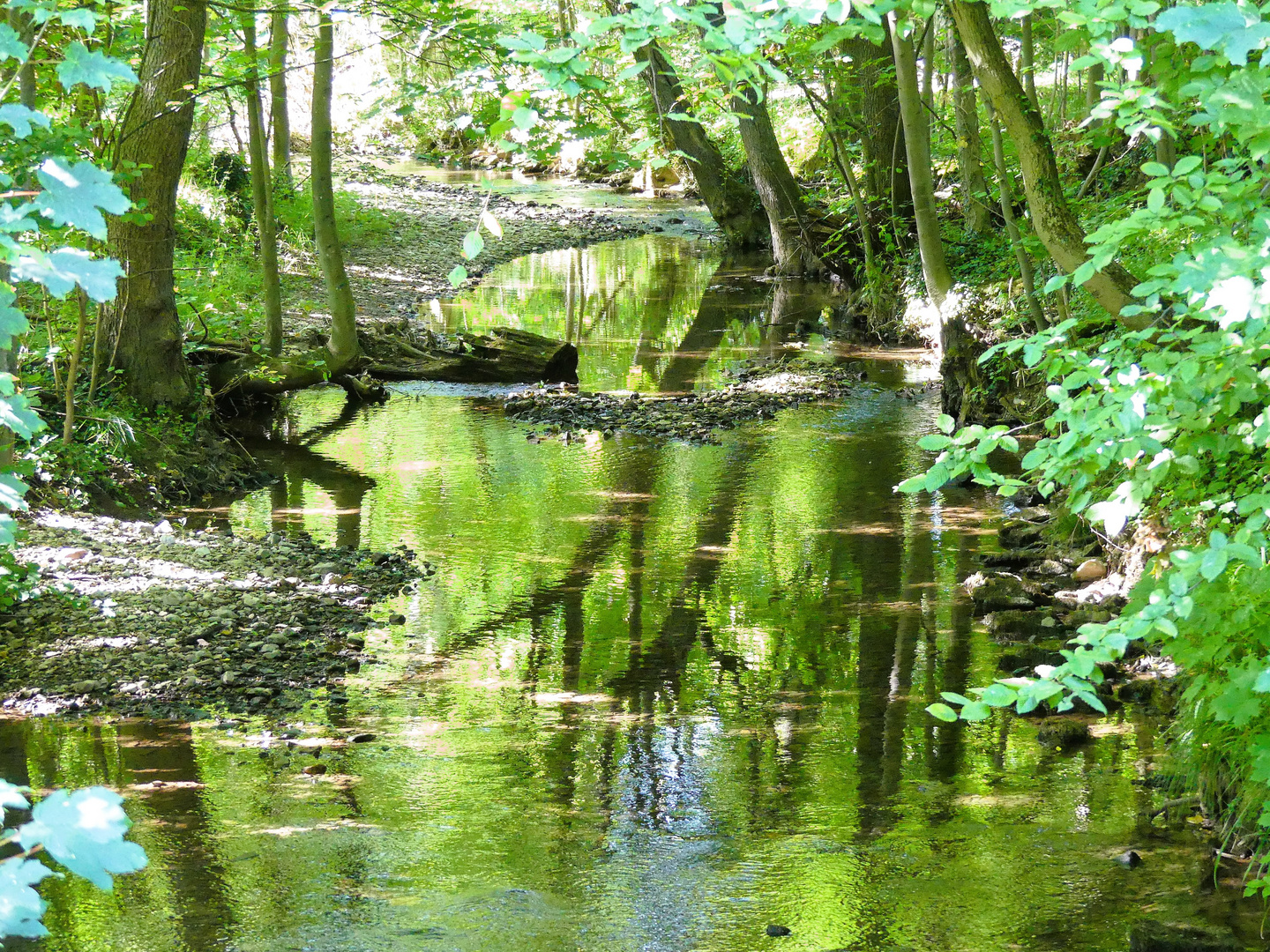 Am Bach entlang spazieren ist bei d e r  Hitze erträglich