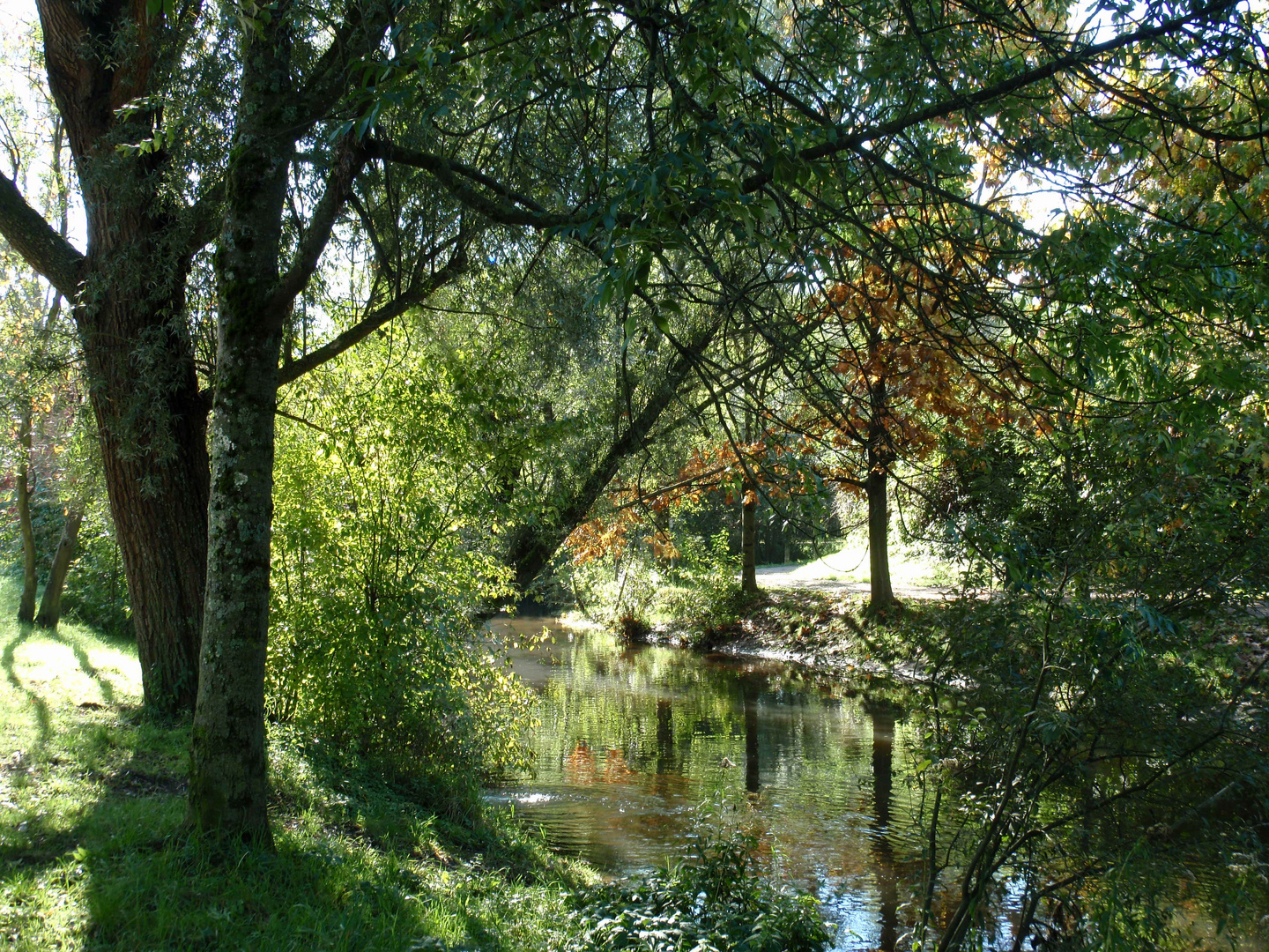 Am Bach-Herbst