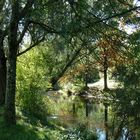 Am Bach-Herbst