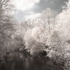 Am Bach in R72 [IR]