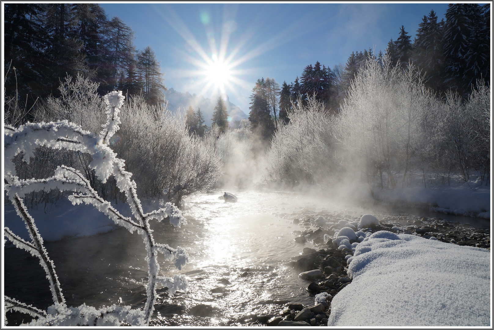 Am Bach in Toblach