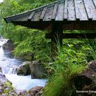 Am Bach von Nikko, Japan