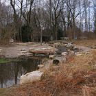 Am Bach Winter ohne Schnee