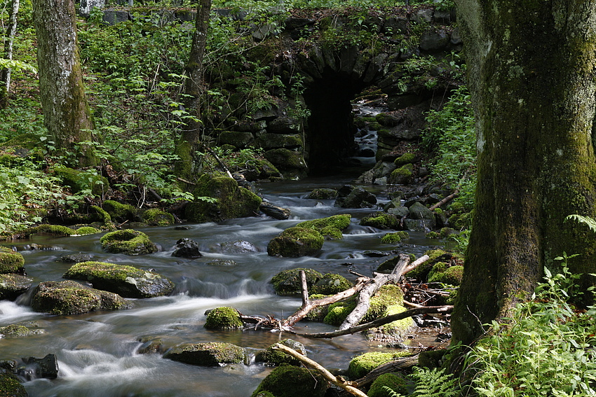 Am Bachlauf