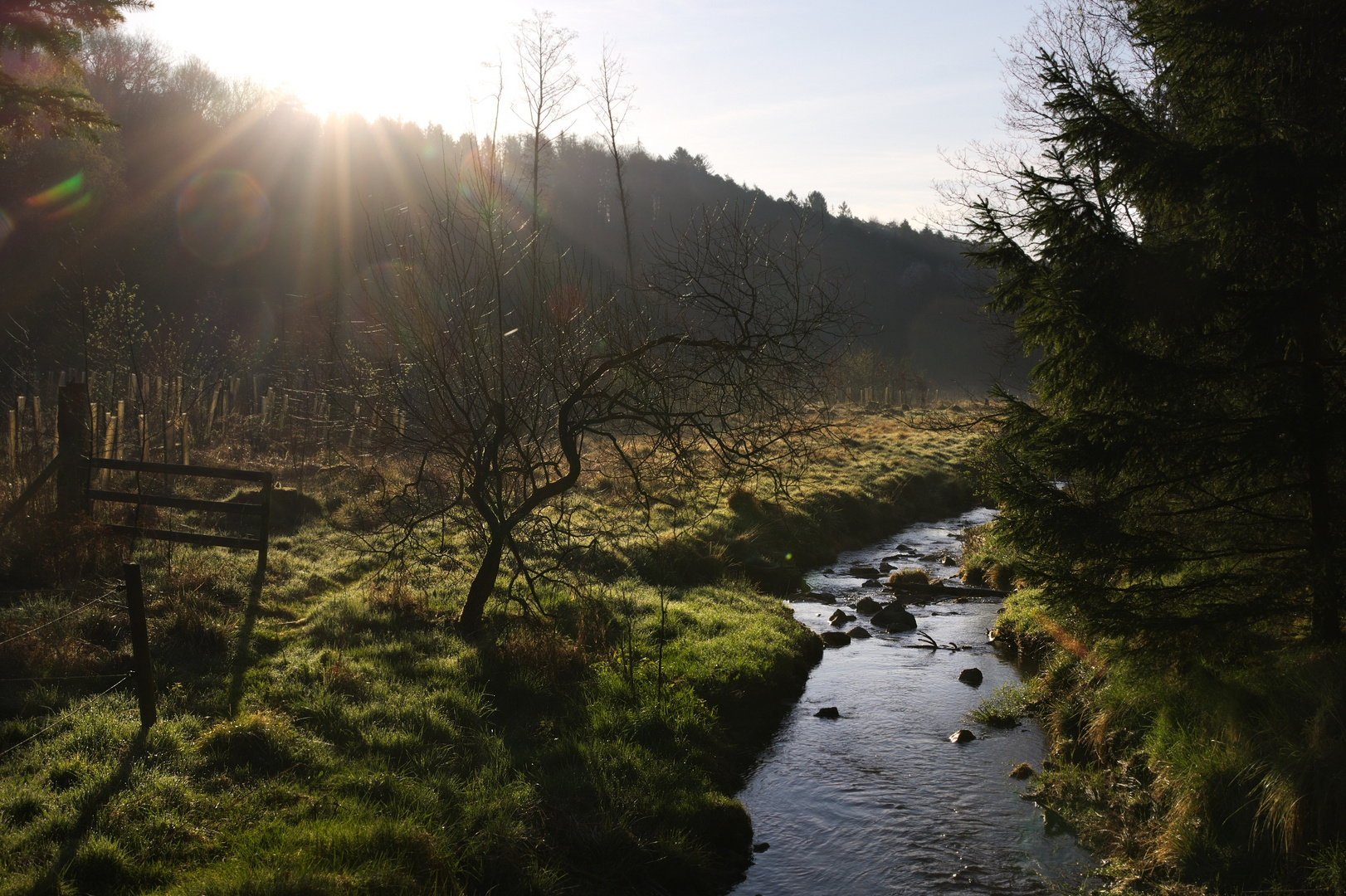 am Bachlauf ...