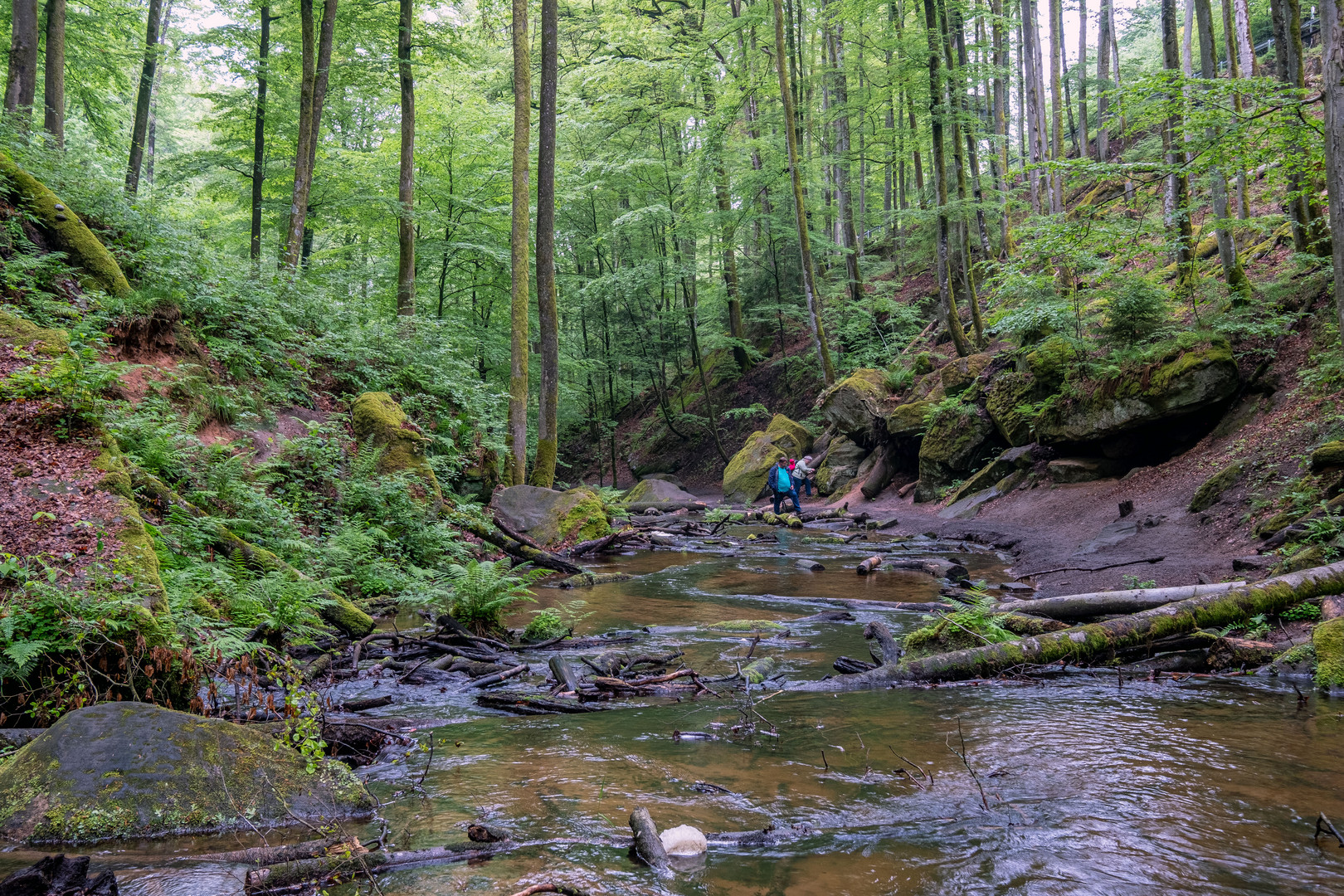 Am Bachlauf im Karlstal 