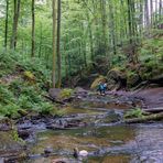 Am Bachlauf im Karlstal 