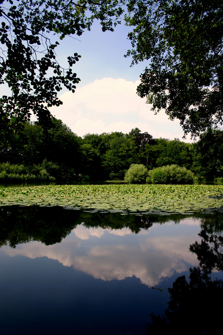 Am Bachteich