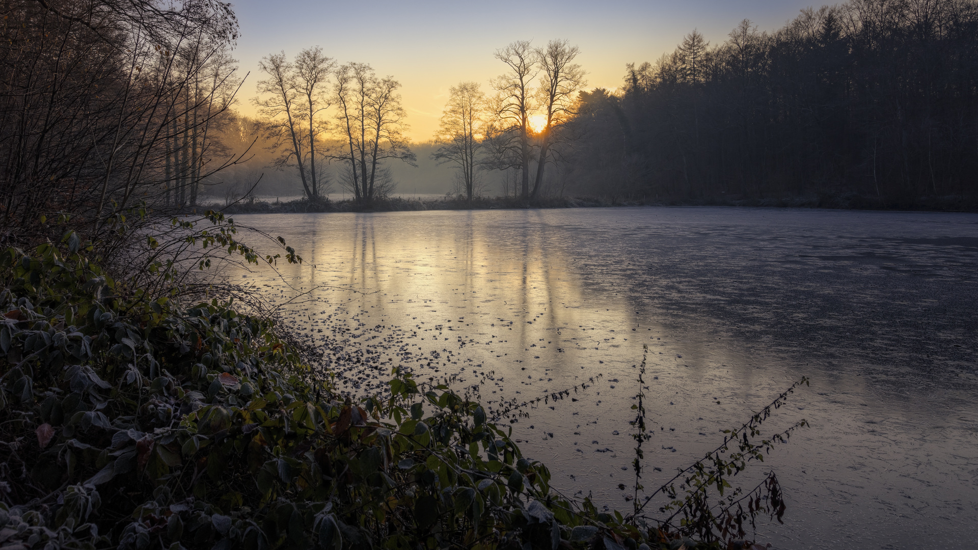 Am Backteich