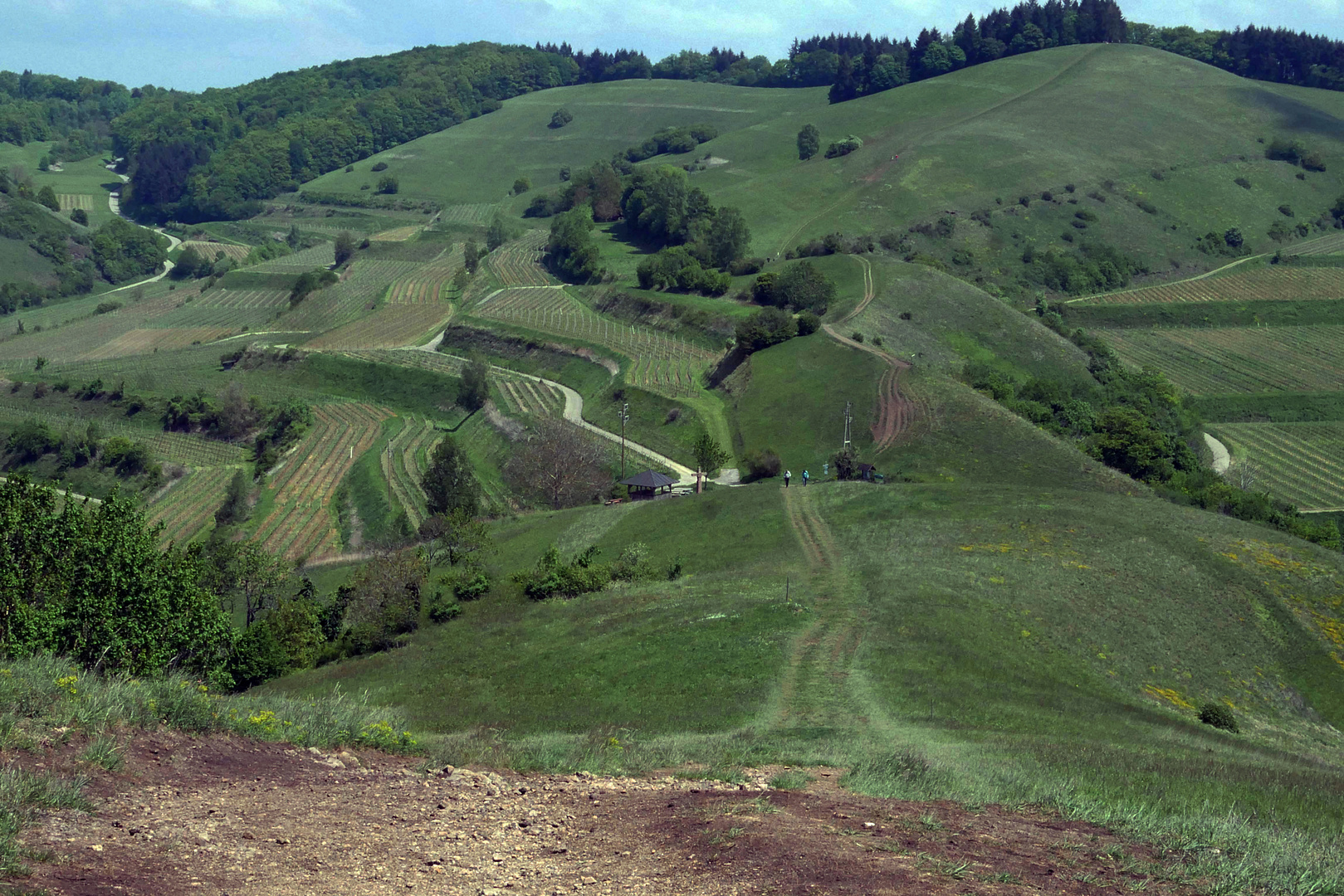 Am Badberg (Kaiserstuhl)